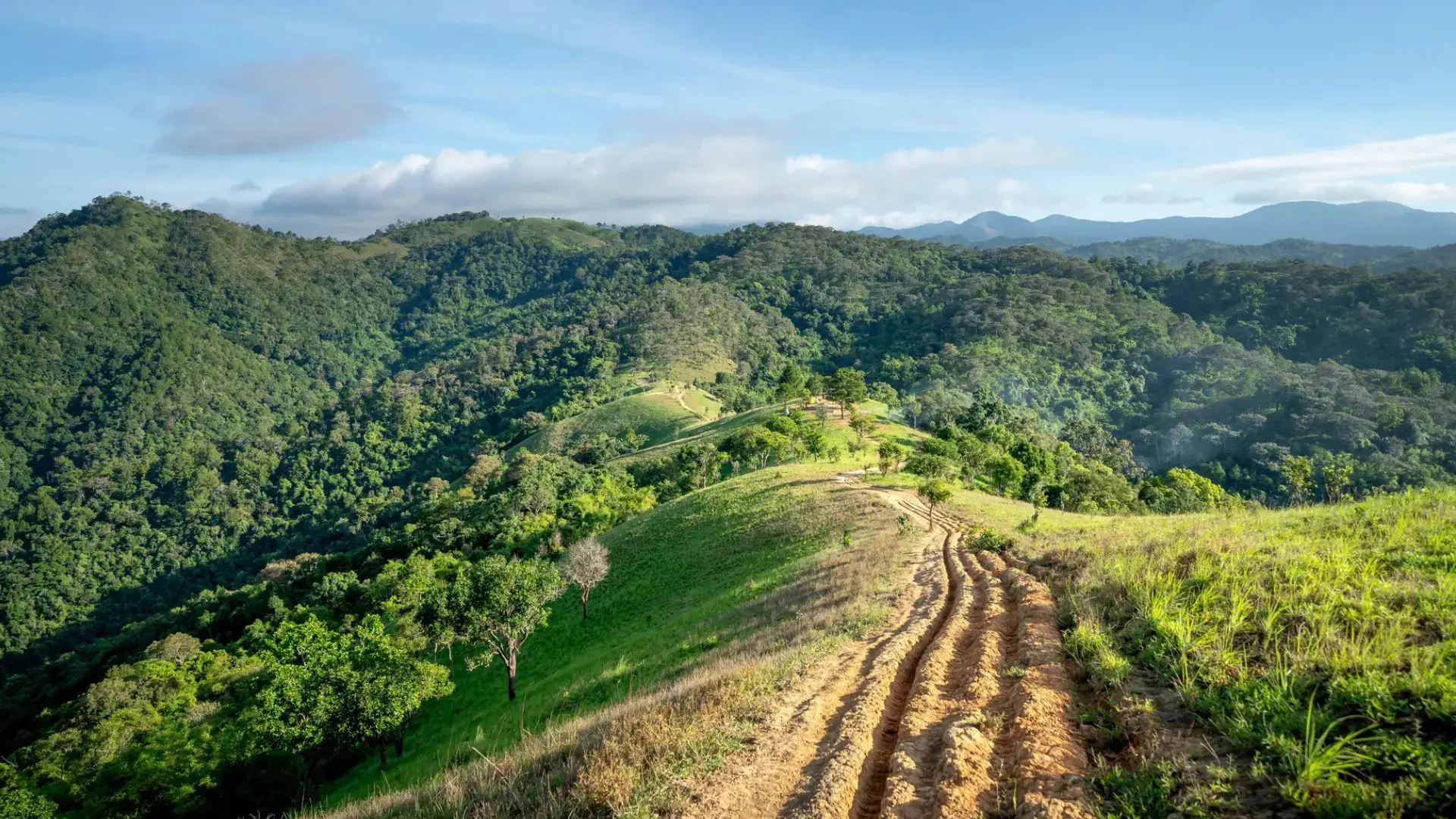 10 Best Things to Do in Coorg: Costs, Timings and Travel Tips