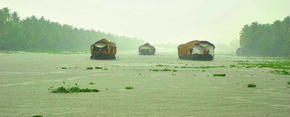 Kumarakom Backwaters Capital Of Gods Own Country Kerala