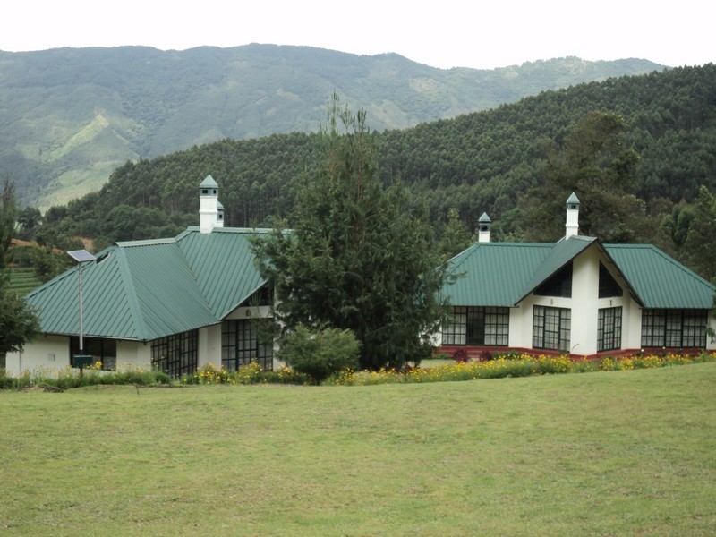 Camp Noel Munnar