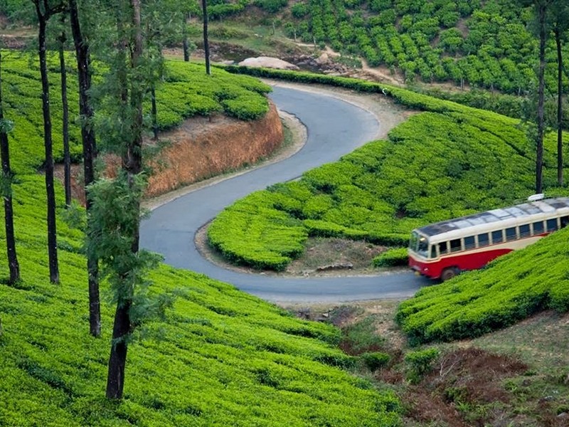 places to visit en route kochi to munnar