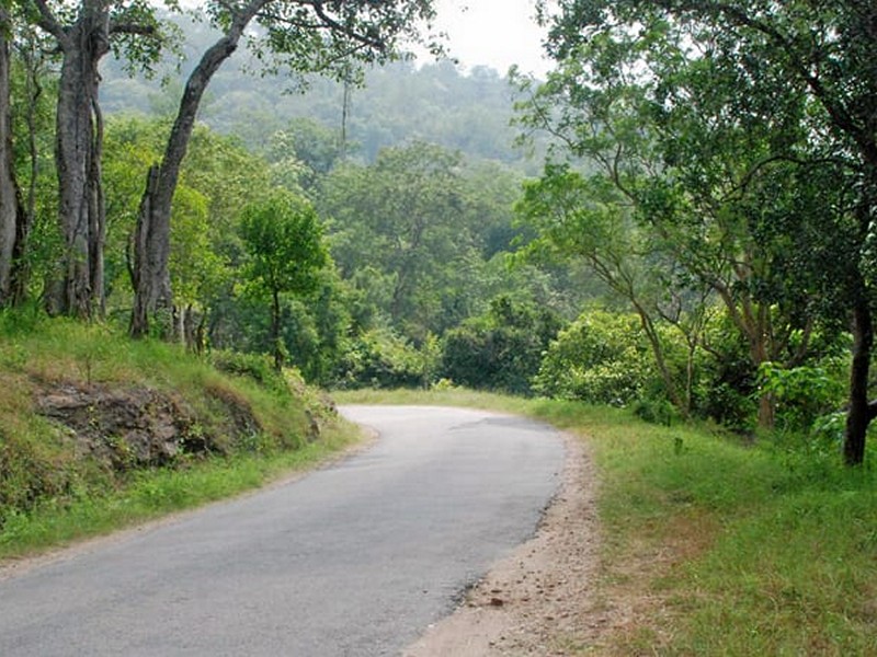 Kochi Munnar Road in a Cab