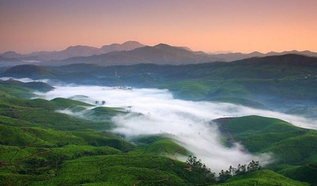 Munnar In Peak Winter 