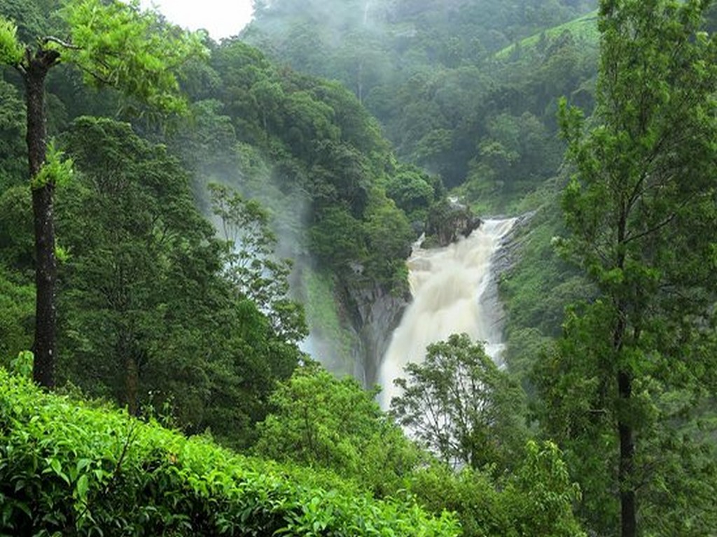 tourist near munnar