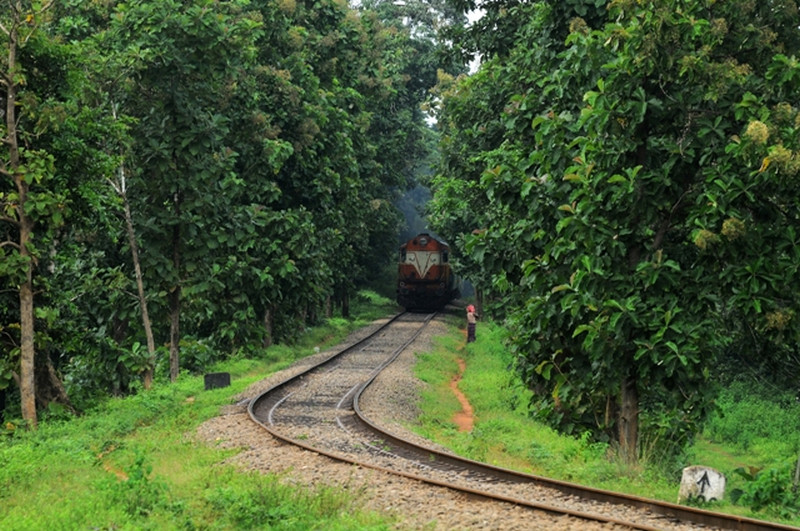 railway lines kerala photos