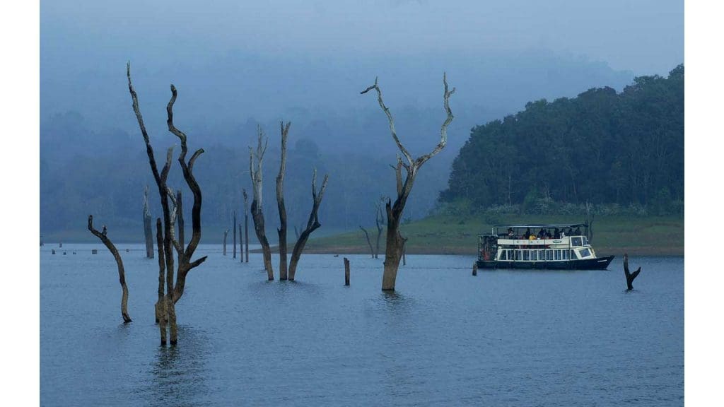 Thekkady Boating In 2021-Online Booking, Timings, Cost, Fare For ...