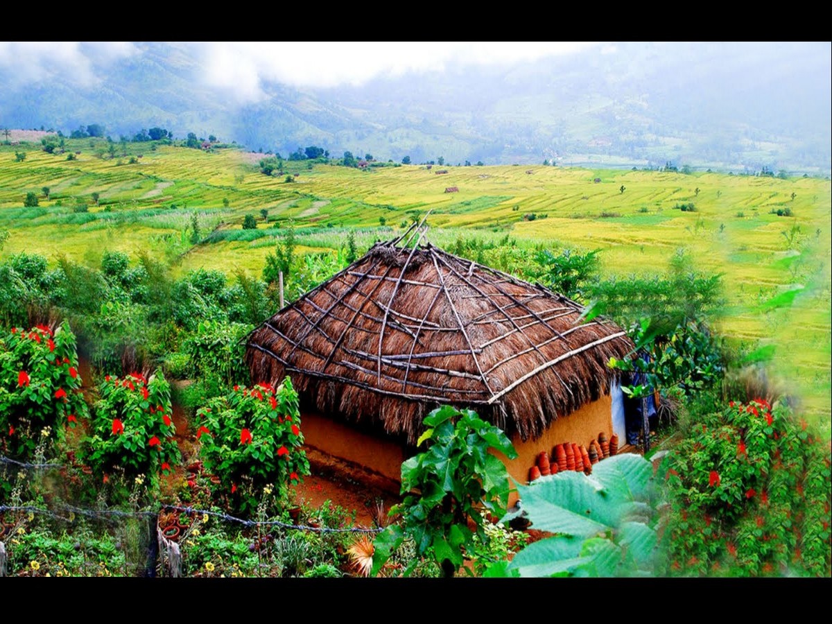 munnar in kerala tourism