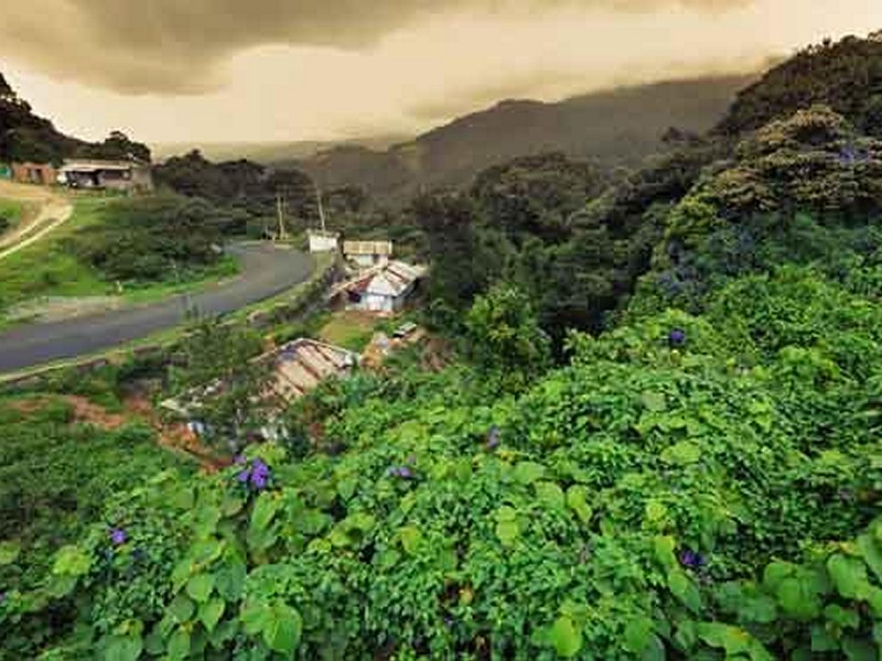 Wayanad in Kerala