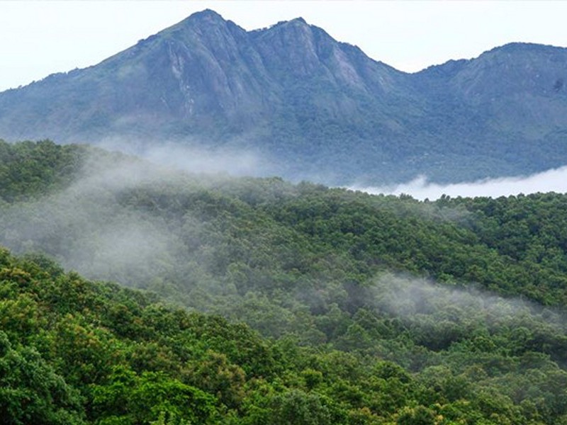 Lakkidi Hills in Wayanad is known for Misty Hills