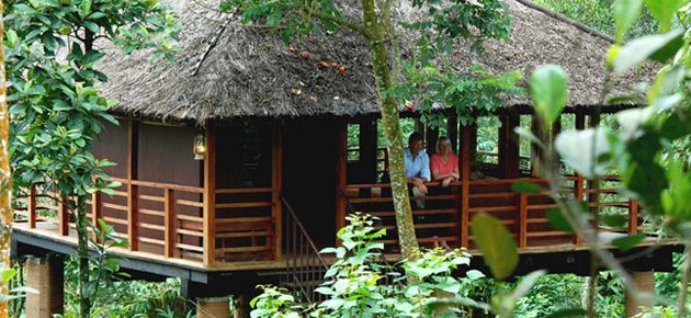Best Treehouses in Kerala