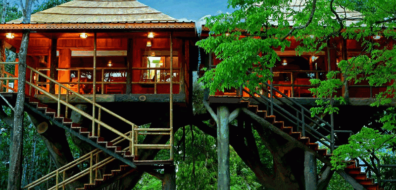 Best Tree Houses In Thekkady Kerala Tourism Blog
