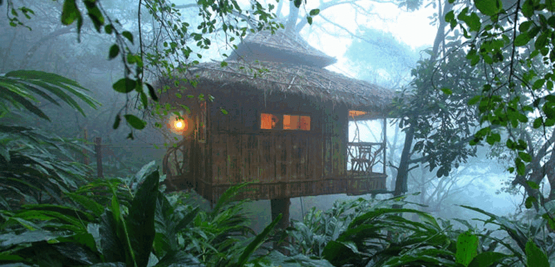 Looking To Stay In A Tree House In Kerala 15 Best Treehouse