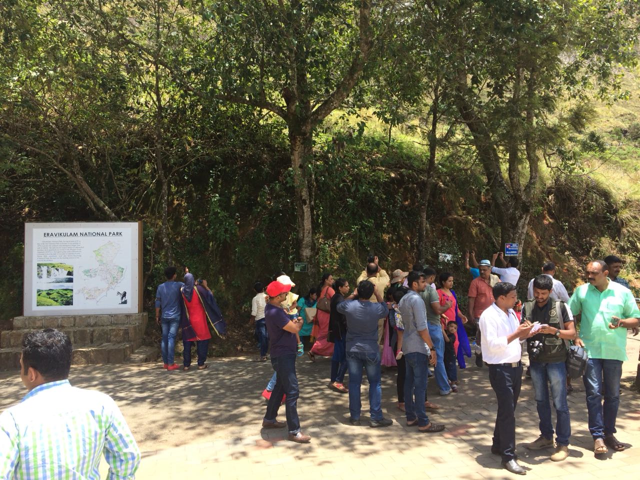 Guests-Neelakurinji-Munnar