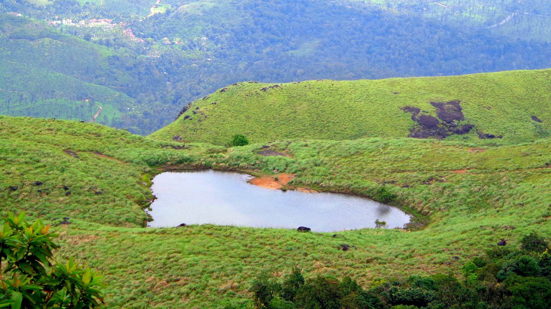 chembara-peak-wayanad