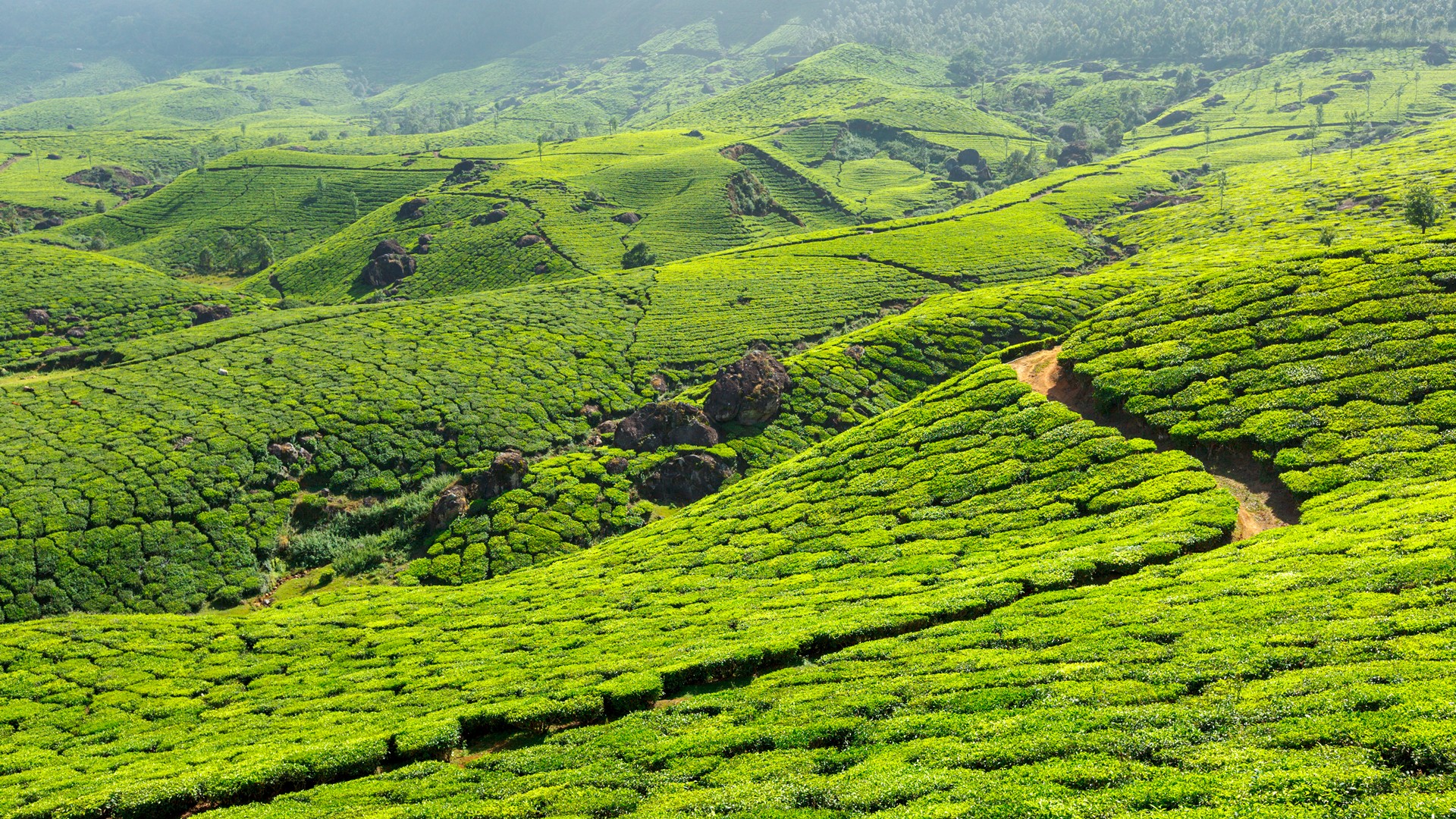 Top 25 Best Tourist Places to Visit in Kerala 2019 (with Photos & Tips)