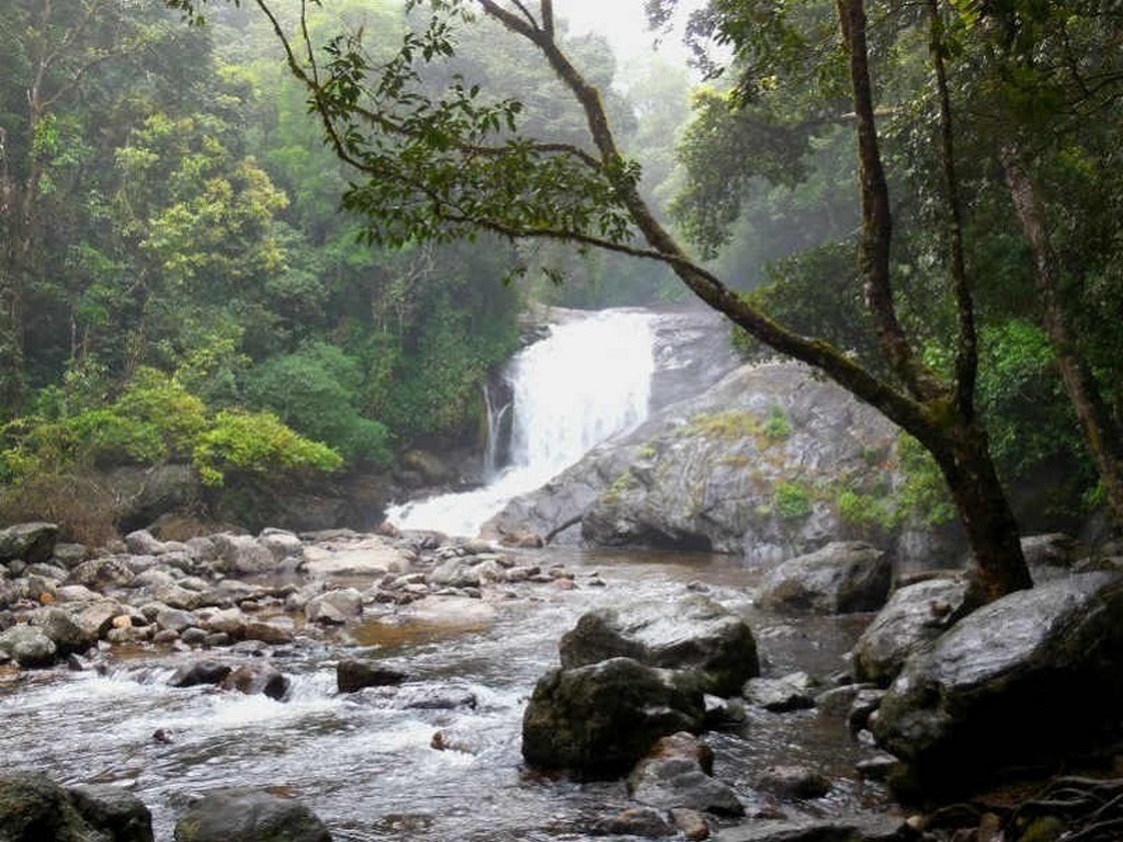 lakkom-water-falls-munnar