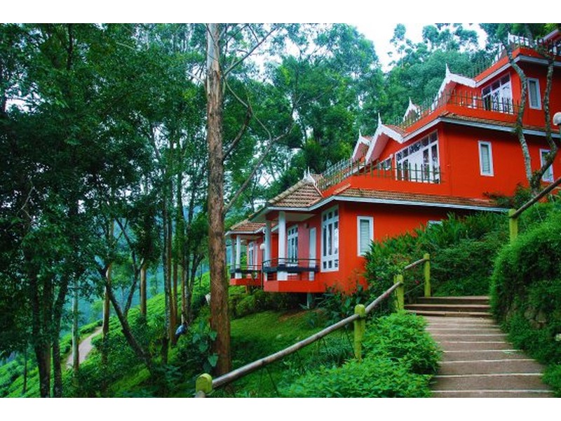 tea-valley-resort