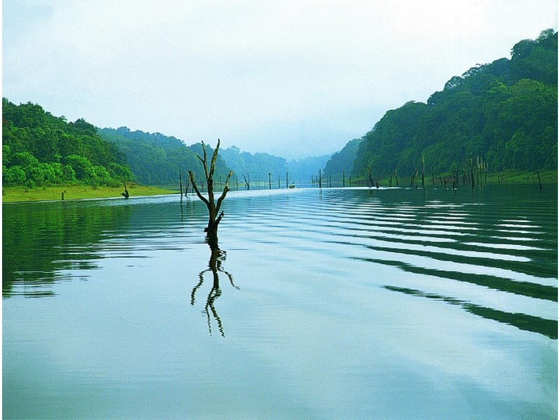 thekkady tourist places timings