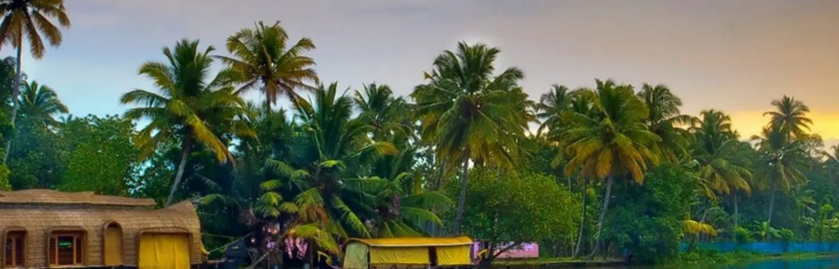 Best Time to Visit Kerala Backwaters