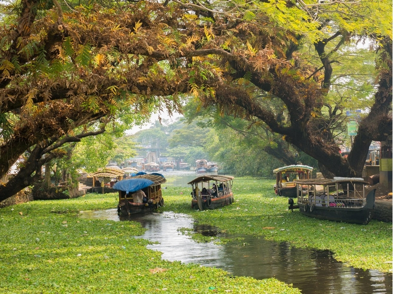 Backwater Canals in Kerala