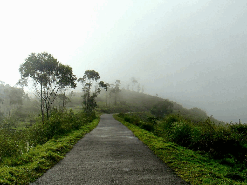 Gavi Forests in Kerala