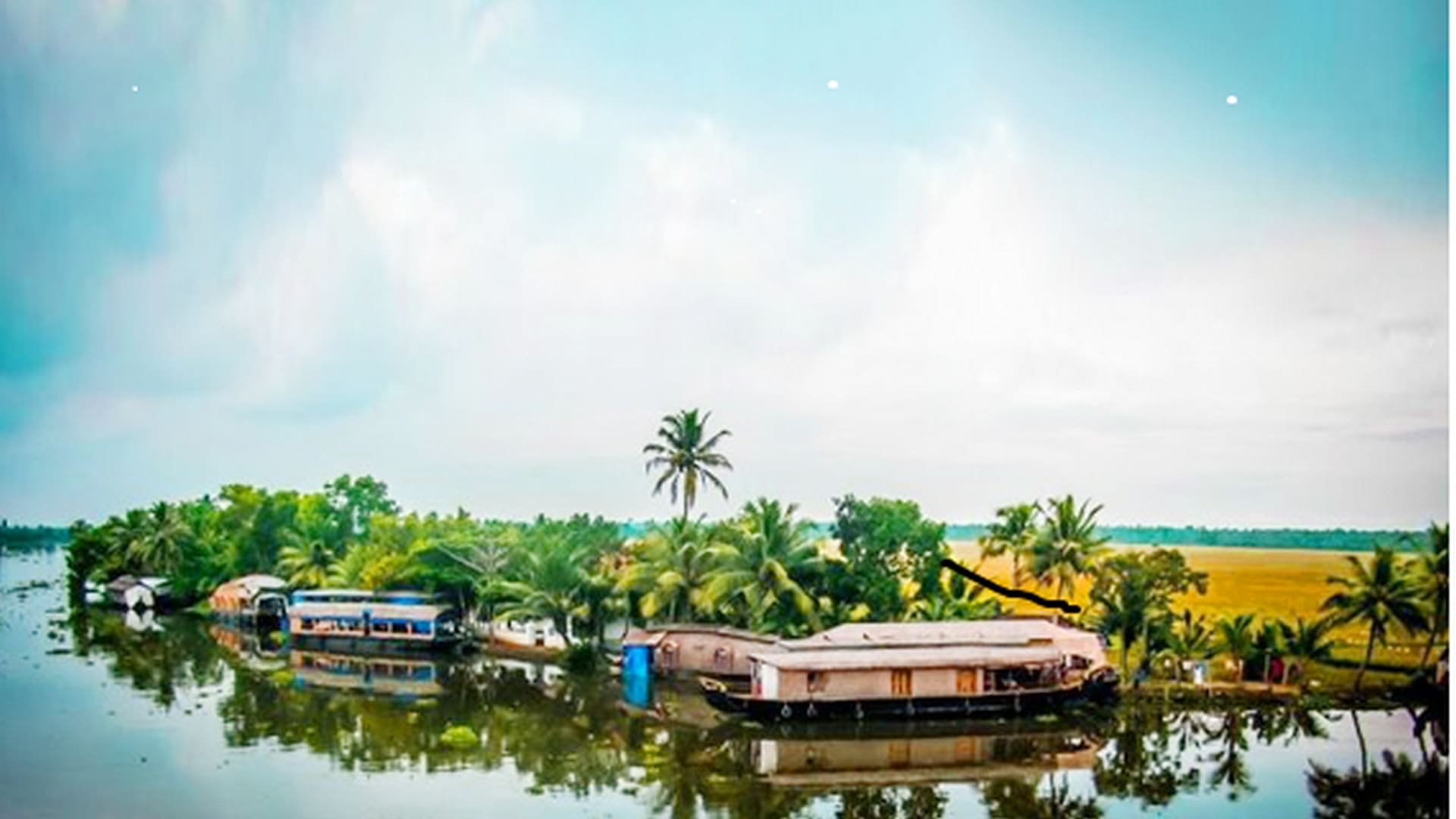 kerala backwater cruise