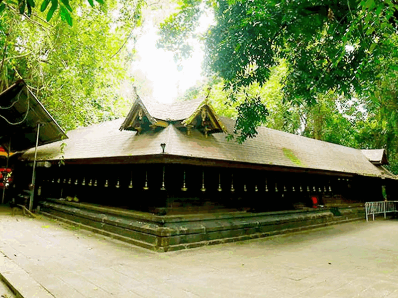mannarasala-nagaraja-temple-kerala