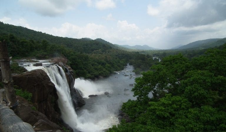 Top 15 Best Forest Places To Visit In Kerala &ndash Iris Holidays