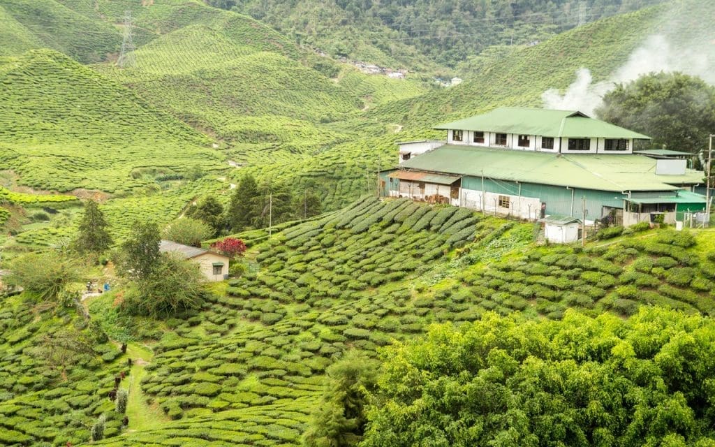 Mejor época para visitar Munnar