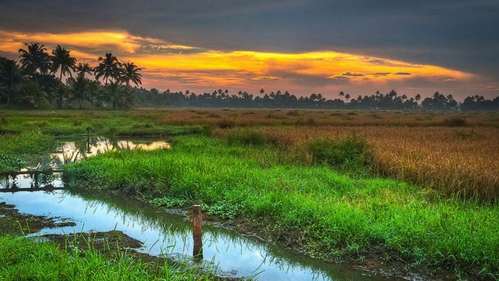Monsoon Tourism in Kerala