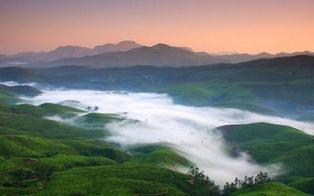 munnar-in-monsoon