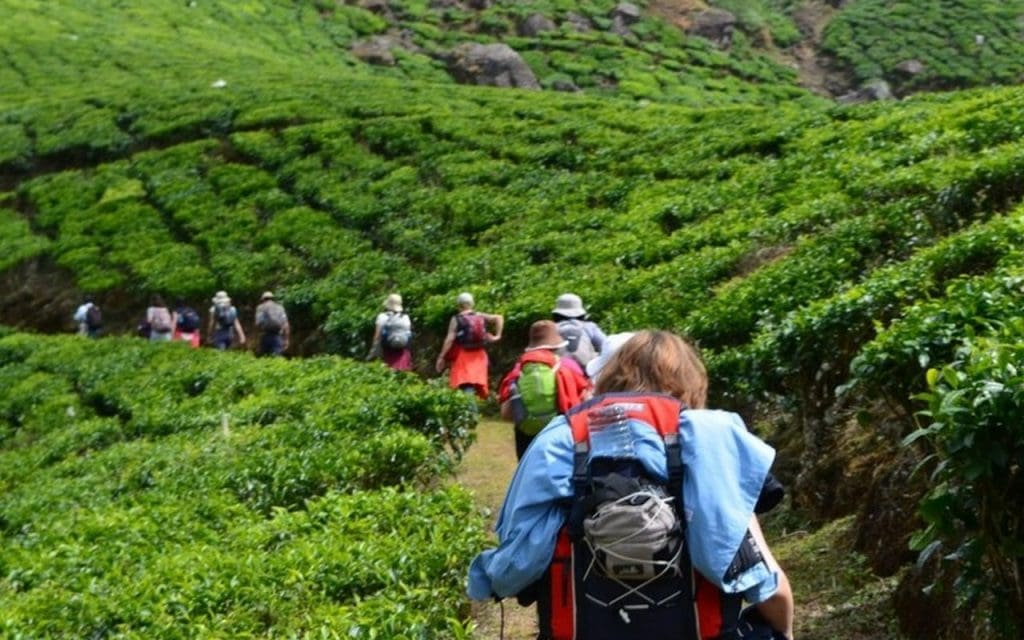 trekking-en-munnar