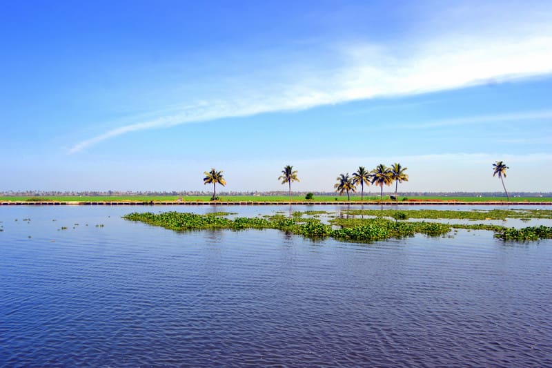 Best Time to Visit Kerala