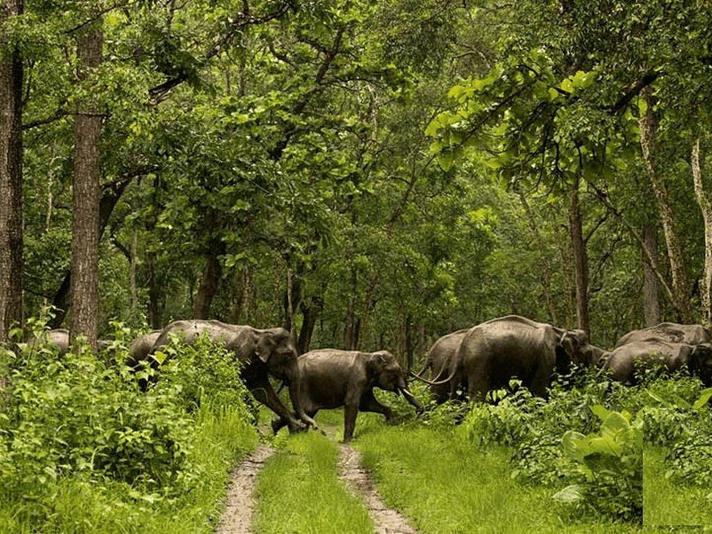 chinnar-wildlife-sanctuary
