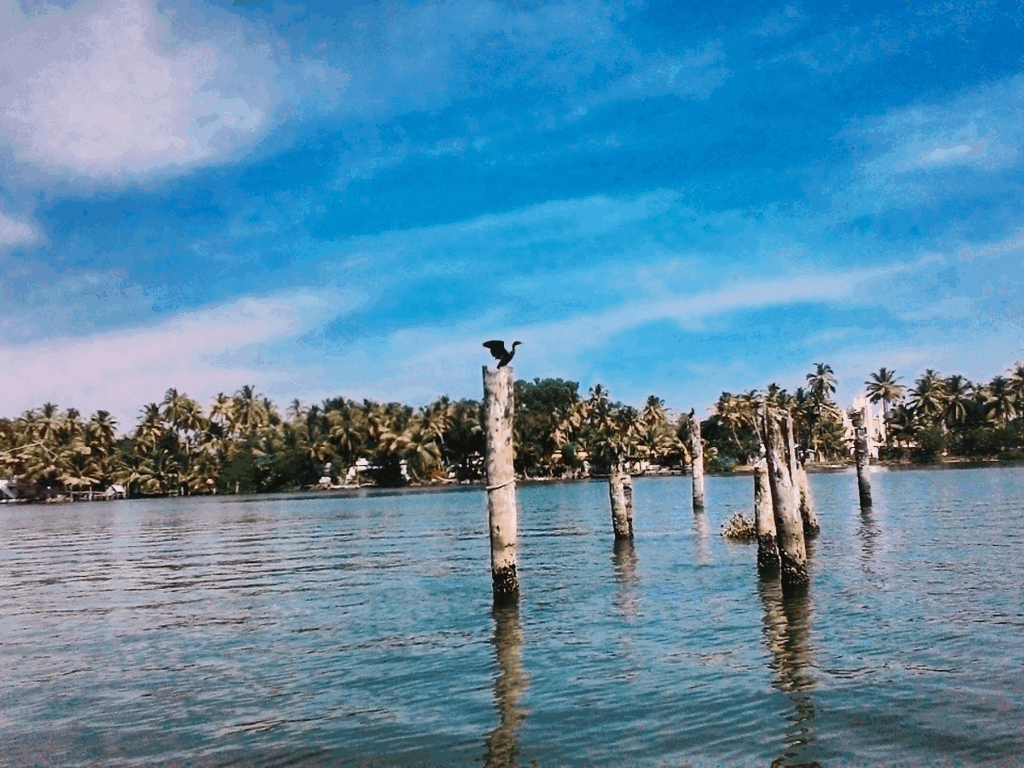 kayamkulam-kayal