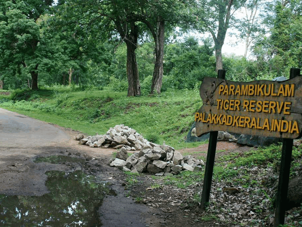 Parambikulam Tiger Reserve