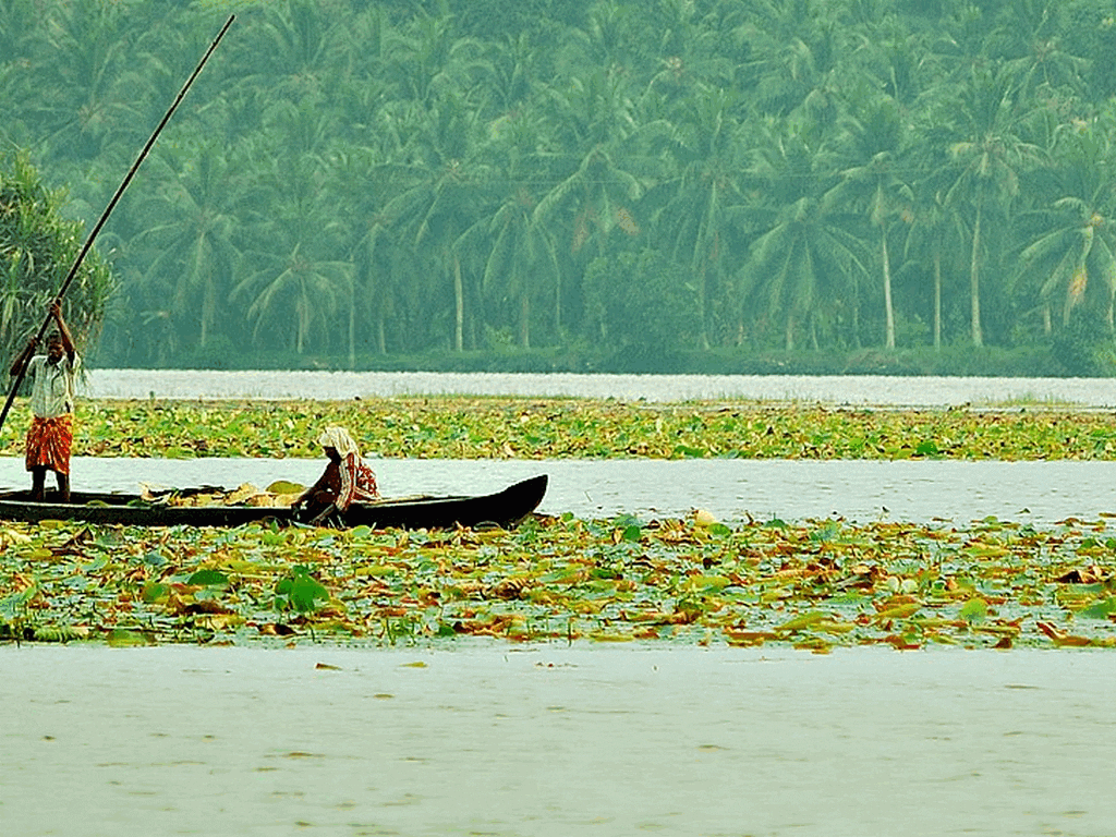 Vellayani Lake