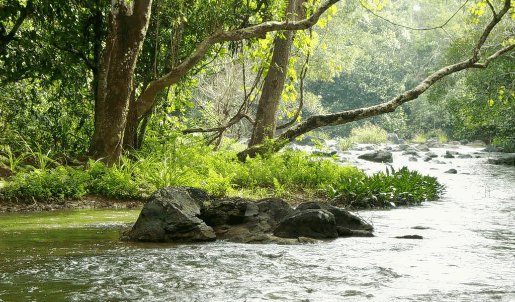 kuruva-island-wayanad