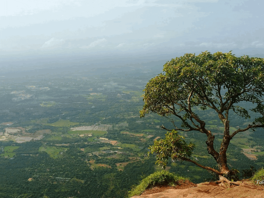 nelliyampathi-kerala