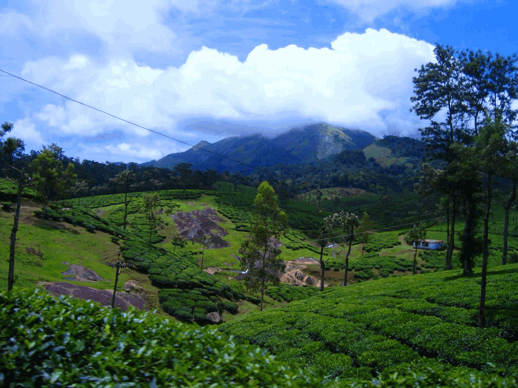Nelliyampathi in North Kerala