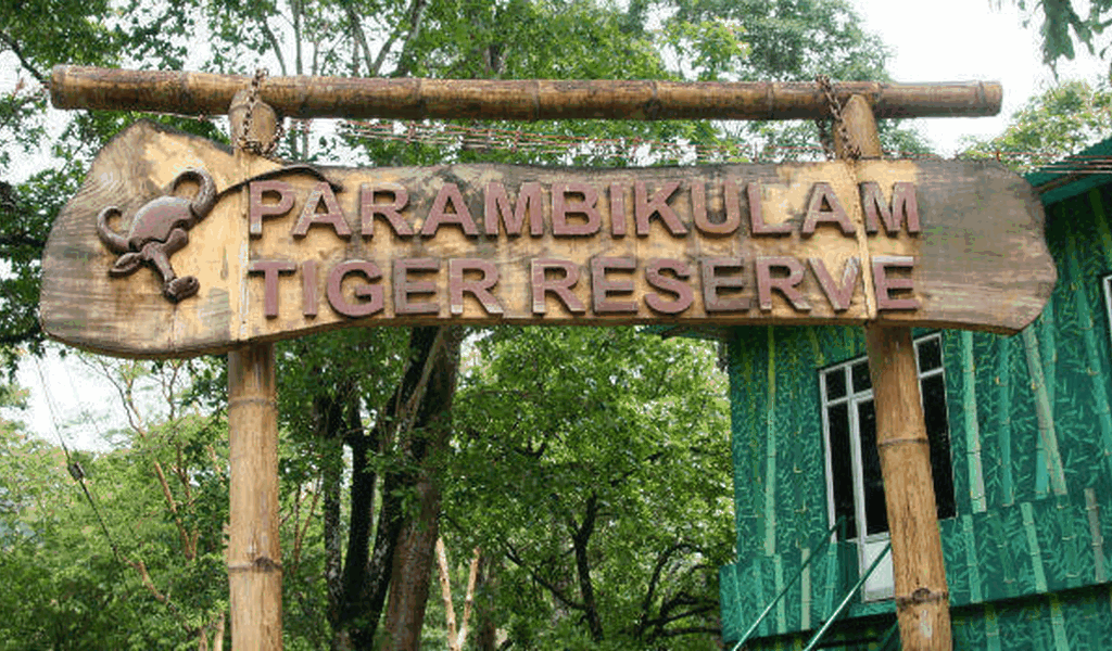 parambikulam-tiger-reserve-kerala