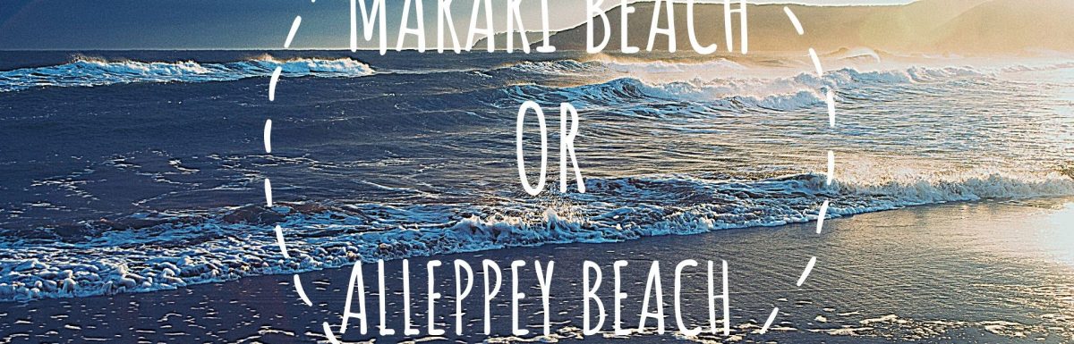 Marari or Alleppey Beach