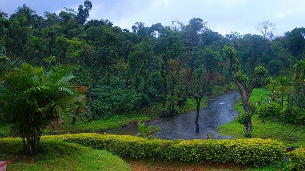 Rains in Coorg