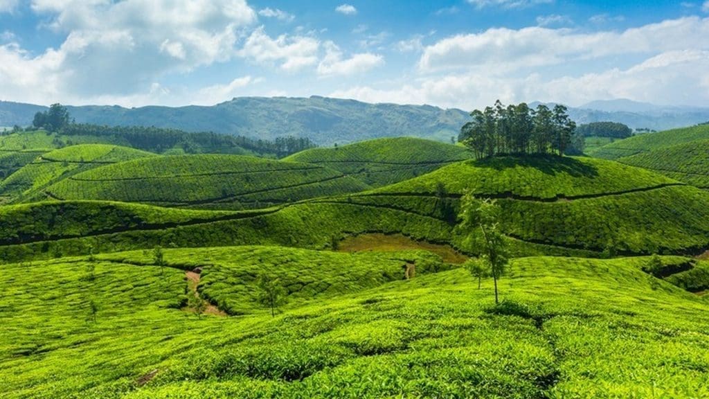 best tourist places kottayam