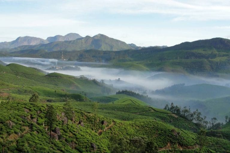 Munnar Honeymoon - 10 Best Photo Points For Couples – Iris Holidays