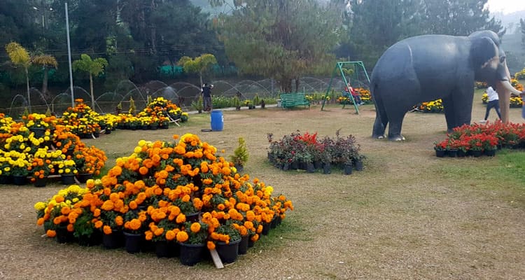 parque de flores