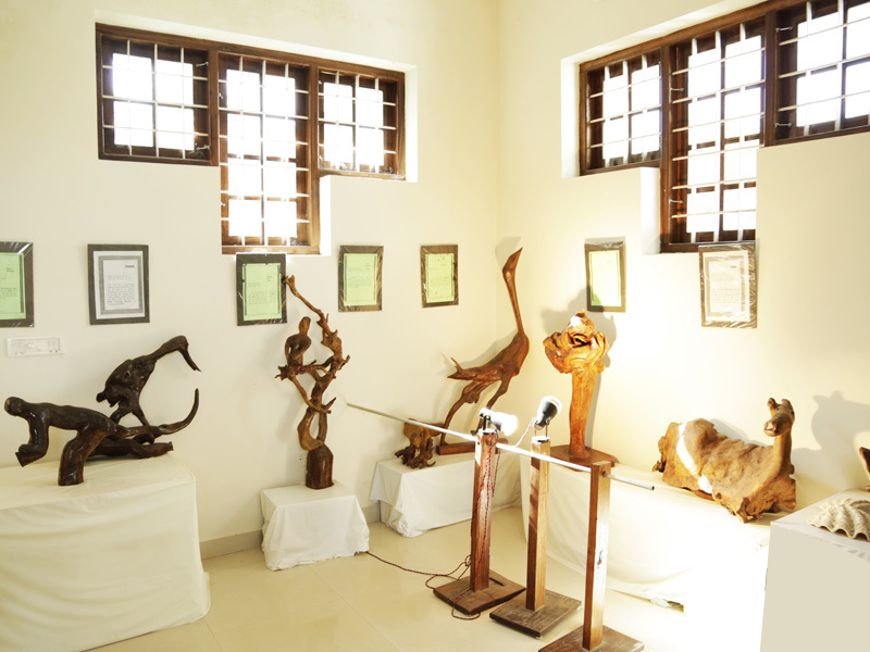 Bay Island Driftwood Museum in Kumarakom