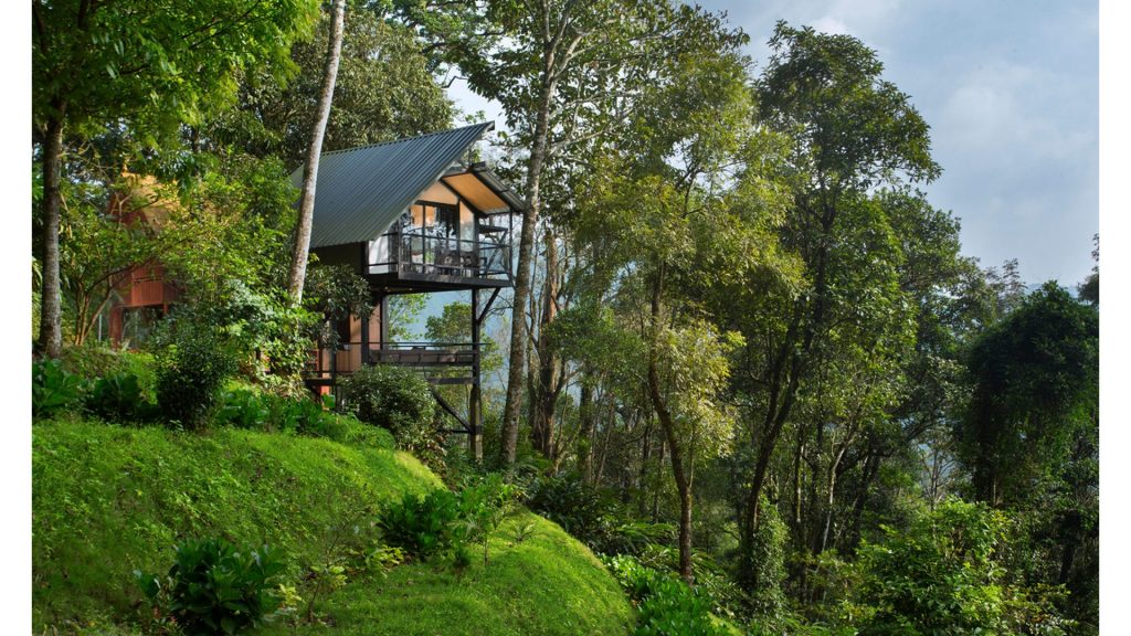 Best Treehouses in Munnar