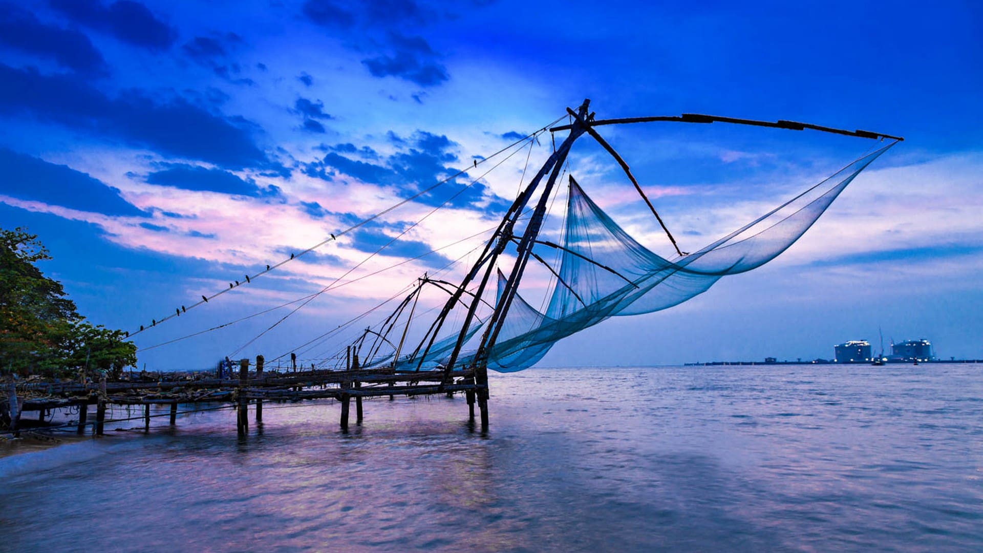 tour packages kochi