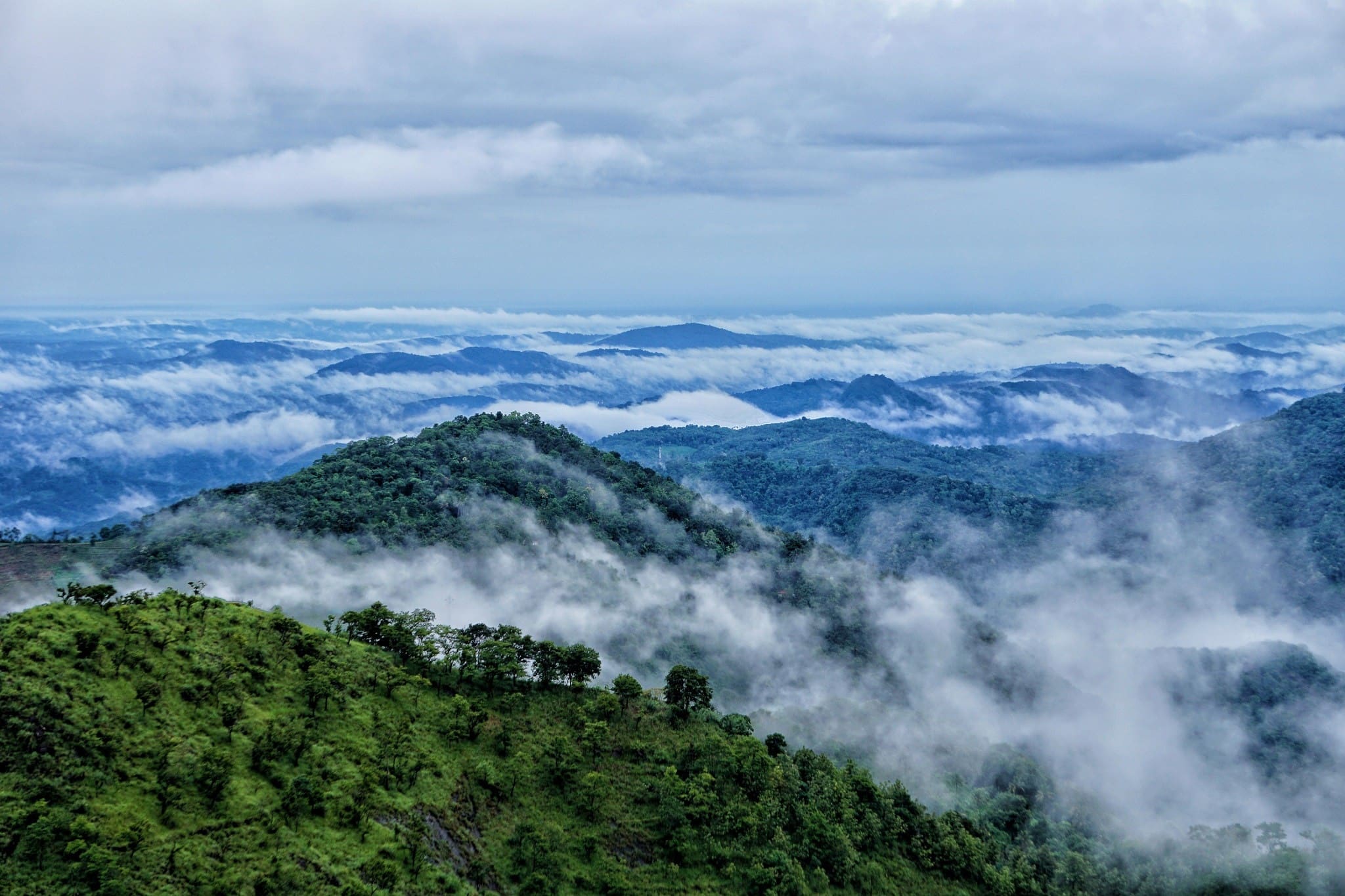 Best Time To Visit Wayanad 2024 - Cleo Mellie