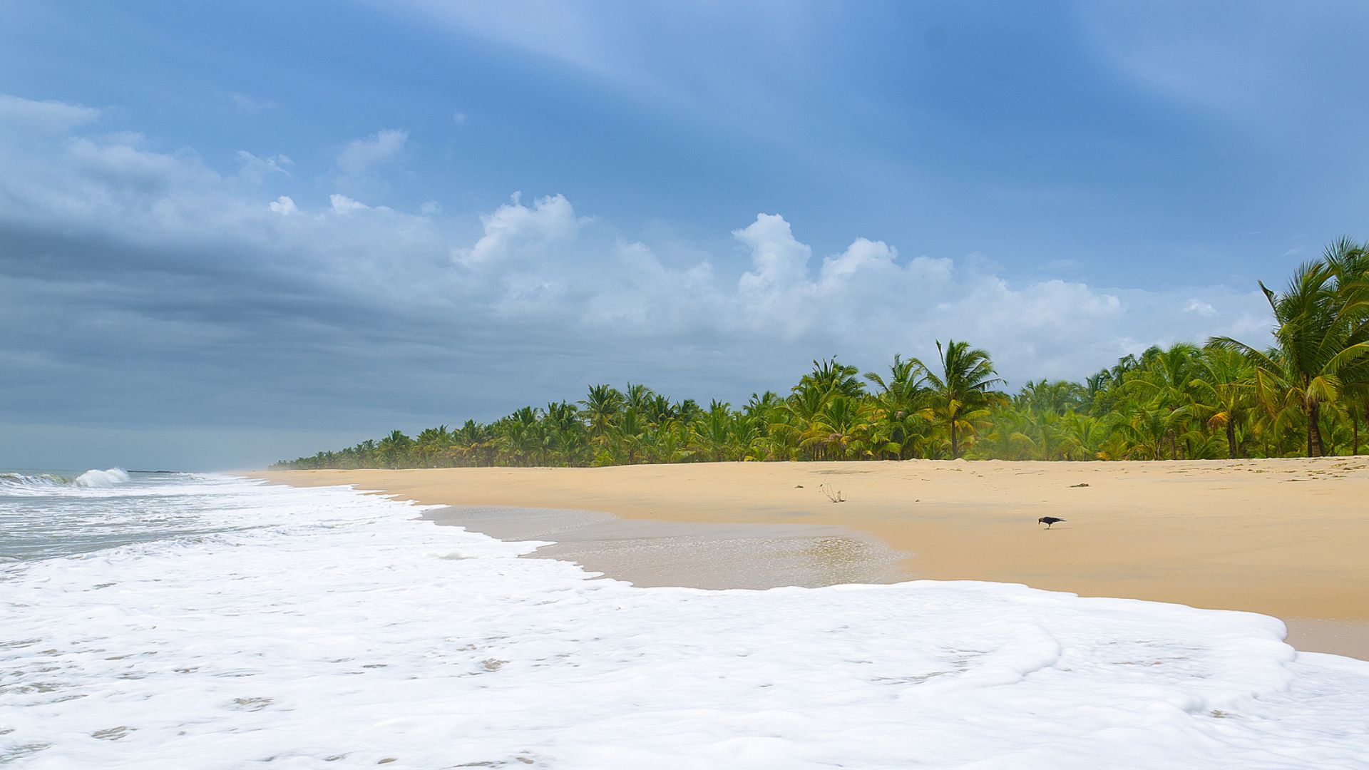  kerala-beach